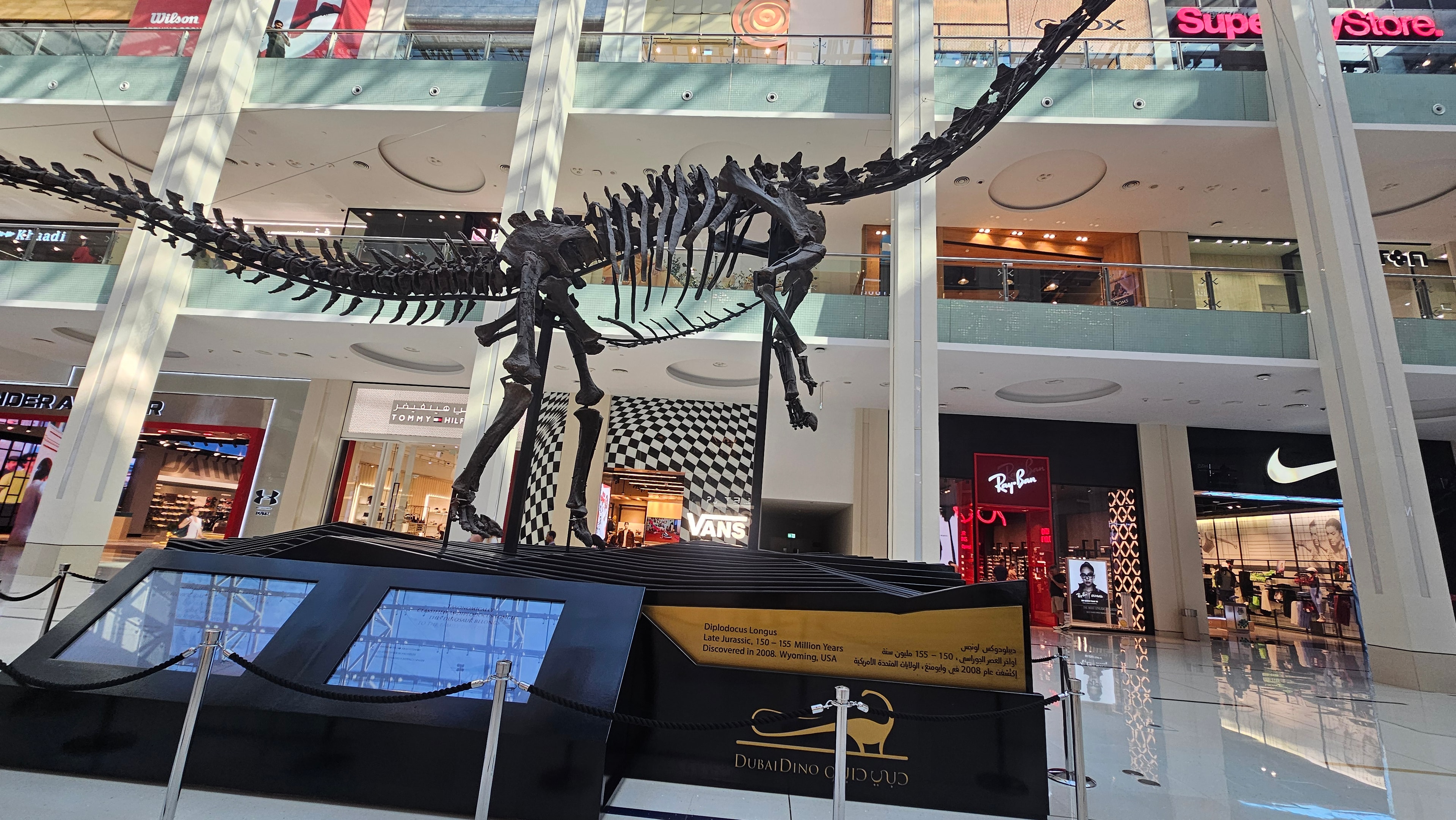 Esqueleto de Diplodocus no Dubai Mall